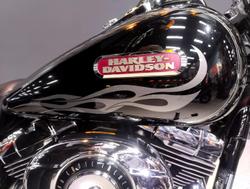 2007 Harley-Davidson Dyna Wide Glide 1584 (FXDWG) Dyna Black