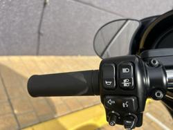 2018 Harley-Davidson Street Glide Anniversary 107 (FLHX_ANV) Touring