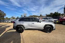 2023 Toyota RAV4 Cruiser