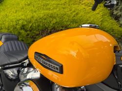 2025 HARLEY-DAVIDSON FXBB STREET BOB (117)