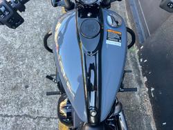 2022 Indian CHIEF DARK HORSE GREY