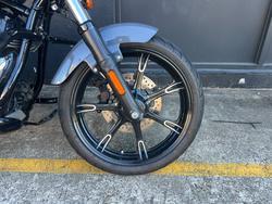 2022 Indian CHIEF DARK HORSE GREY