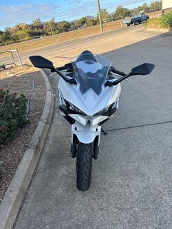 2024 Kawasaki NINJA 500 SE (LAMS) White