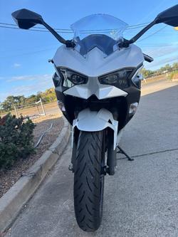2024 Kawasaki NINJA 500 SE (LAMS) White