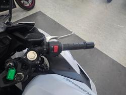 2024 Kawasaki 2024 Kawasaki 500CC Ninja 500 White