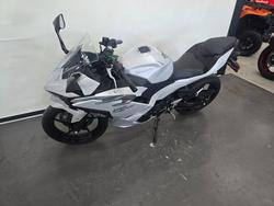 2024 Kawasaki 2024 Kawasaki 500CC Ninja 500 White