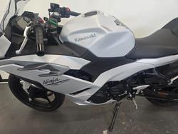 2024 Kawasaki 2024 Kawasaki 500CC Ninja 500 White