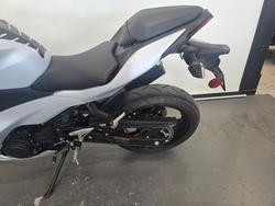 2024 Kawasaki 2024 Kawasaki 500CC Ninja 500 White