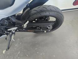 2024 Kawasaki 2024 Kawasaki 500CC Ninja 500 White
