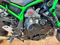 2020 Kawasaki Z H2 (ZR1000K) GREEN