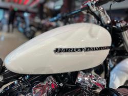 2019 Harley-Davidson Breakout 114 (FXBRS) Softail
