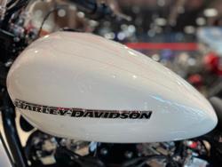2019 Harley-Davidson Breakout 114 (FXBRS) Softail