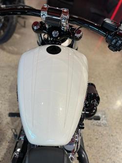 2019 Harley-Davidson Breakout 114 (FXBRS) Softail