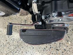 2019 Harley-Davidson Deluxe 107 (FLDE) Softail Blue