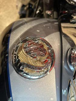 2019 Harley-Davidson Deluxe 107 (FLDE) Softail Blue