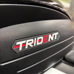 2025 Triumph TRIDENT 660 Black