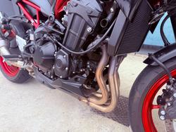 2021 Kawasaki Z900 SUPERNAKED (ZR900) Red