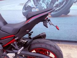 2021 Kawasaki Z900 SUPERNAKED (ZR900) Red