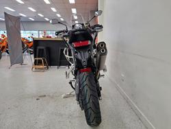 2027 Triumph TIGER 900 RALLY DESERT grey