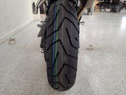 2027 Triumph TIGER 900 RALLY DESERT grey