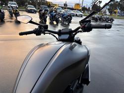 2019 DUCATI DIAVEL 1260 (SANDSTONE GREY) Grey