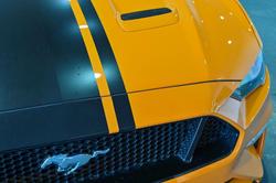 2019 Ford Mustang GT