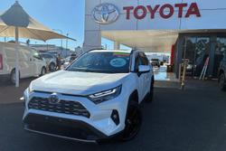 2022 Toyota RAV4 Cruiser