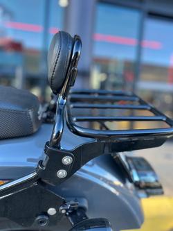 2022 Harley-Davidson Low Rider S 117 (FXLRS) Softail