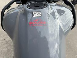 2024 Royal Enfield HIMALAYAN 450 SLATE SALT