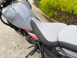 2024 Royal Enfield HIMALAYAN 450 SLATE SALT