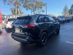 2021 Toyota RAV4 Cruiser