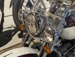 2021 Harley-Davidson Heritage Classic 107 (FLHC) Softail Brown