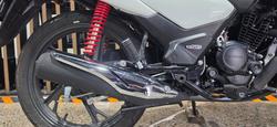 2024 Honda CB125F (CBF125) WHITE