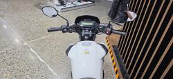 2024 Honda CB125F (CBF125) WHITE