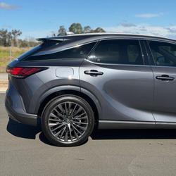 2025 Lexus RX 450h+ Sports Luxury