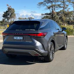 2025 Lexus RX 450h+ Sports Luxury
