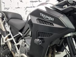 2024 Triumph Tiger 1200 GT Pro Tiger White