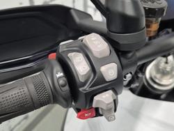 2024 Triumph Tiger 1200 GT Pro Tiger White