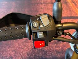 2025 Triumph Scrambler 400 X Scrambler Silver