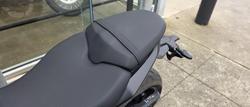 2024 Triumph Daytona 660 LAMS Daytona Grey