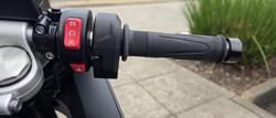 2024 Triumph Daytona 660 LAMS Daytona Grey
