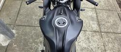 2024 Triumph Daytona 660 LAMS Daytona Grey