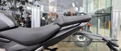 2024 Triumph Daytona 660 LAMS Daytona Grey