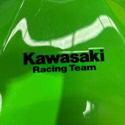 2019 Kawasaki NINJA 400 SE Green