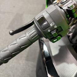 2019 Kawasaki NINJA 400 SE Green
