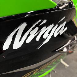 2019 Kawasaki NINJA 400 SE Green