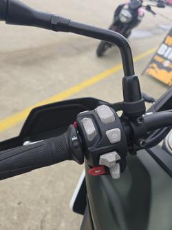 2020 Triumph TIGER 900 RALLY Green