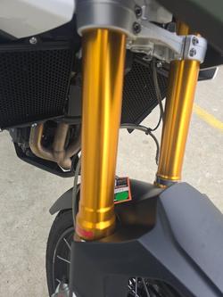 2020 Triumph TIGER 900 RALLY Green
