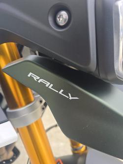 2020 Triumph TIGER 900 RALLY Green