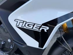2020 Triumph TIGER 900 RALLY Green